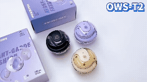 AUDIFONOS CON TRADUCTOR OWS T2